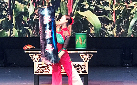 第十届中国杂技全国魔术大赛我校学生李诺亚方舟获金菊奖